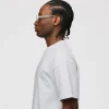 Crosby Sunglasses - Translucent